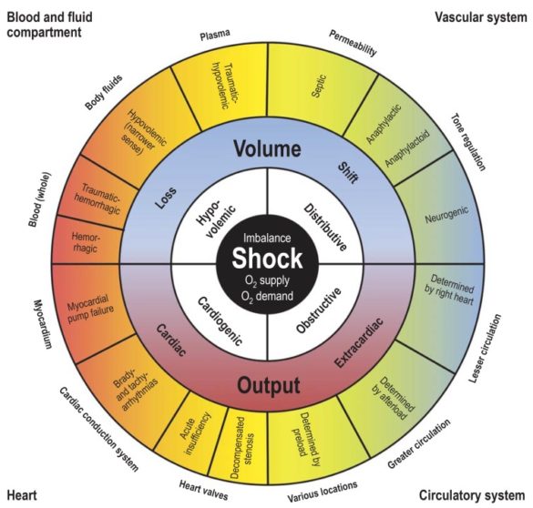 different-types-of-shock-signs-symptoms-treatment-causes